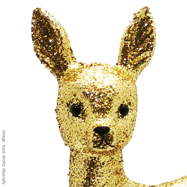 Grand FAON à paillettes - Coloris Or – Image 3