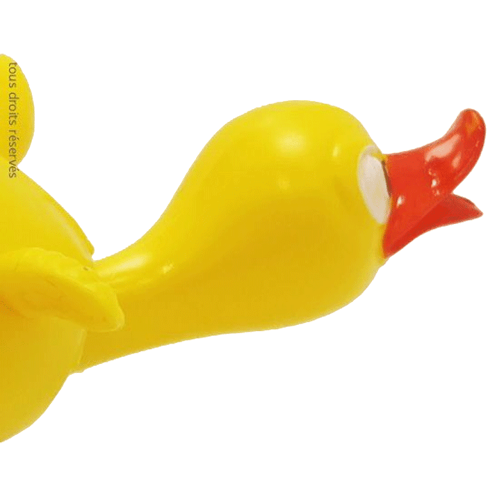 Canard hocheur - Joujou rétro – Image 3