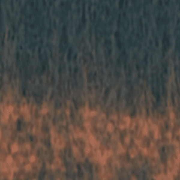 Écharpe King Louie CHECK Pine green – Image 2