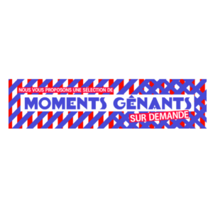 Autocollant 17x4 cm – Moments gênants sur demande