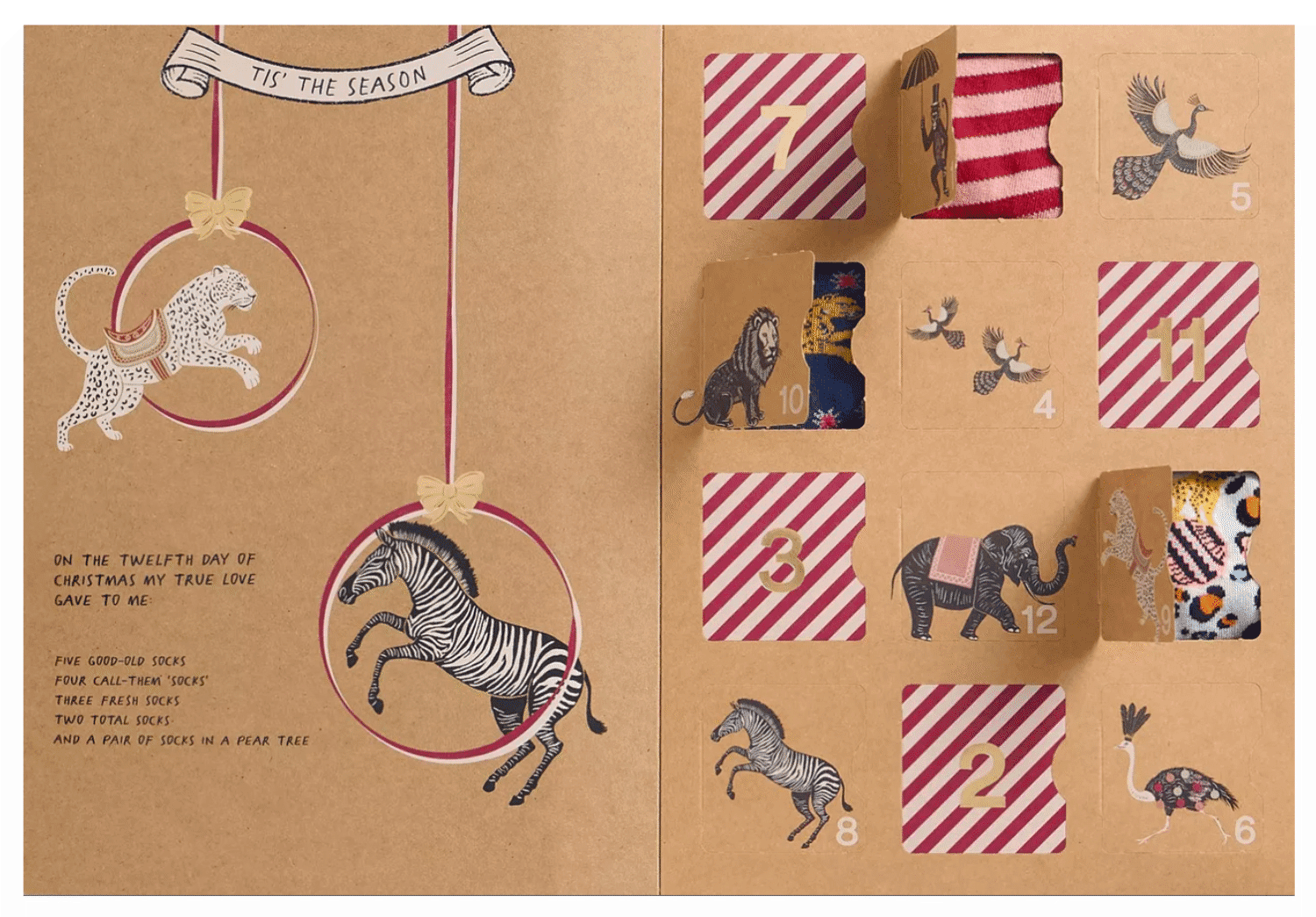 Boite-cadeau 12 paires de chaussettes WHITE STUFF Femme - Circus ! – Image 3