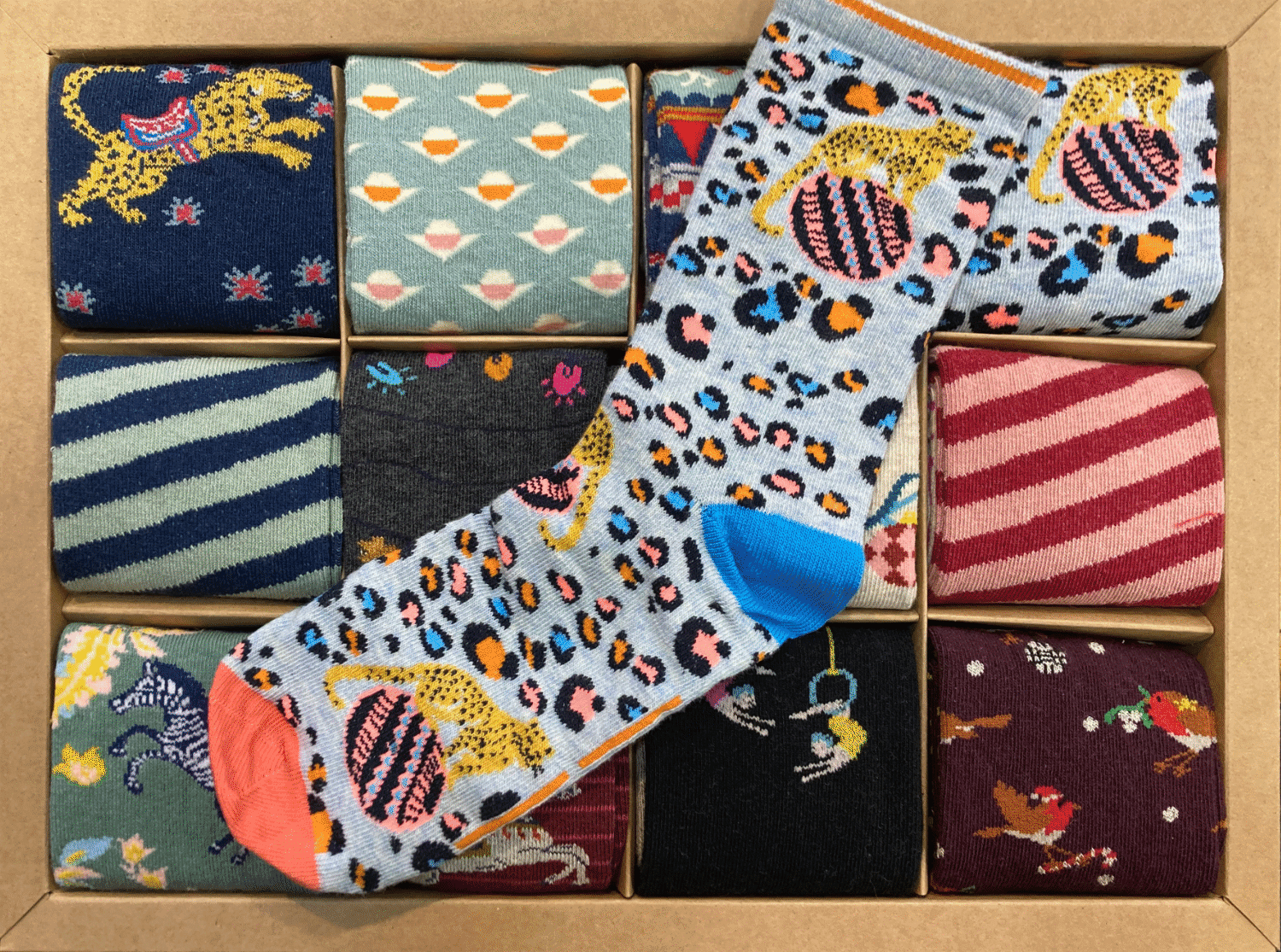 Boite-cadeau 12 paires de chaussettes WHITE STUFF Femme - Circus ! – Image 2
