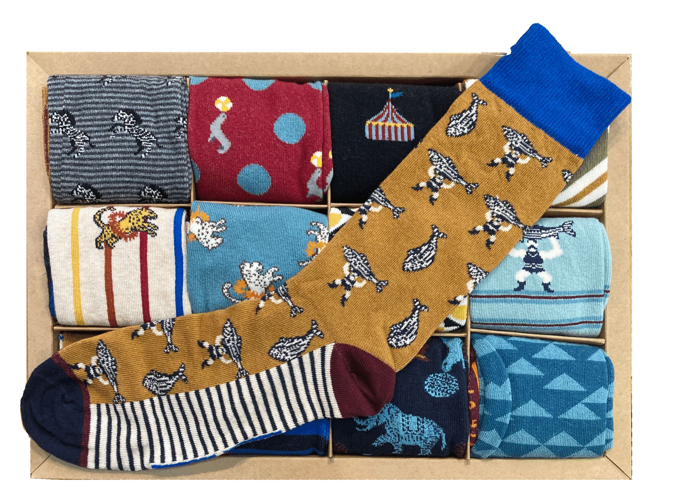 Boite-cadeau 12 paires de chaussettes WHITE STUFF Homme - Circus ! – Image 2