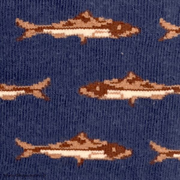 Coffret 4 paires de chaussettes WHITE STUFF homme - Fish pattern – Image 6