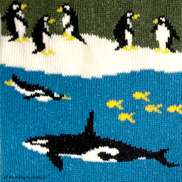 Chaussettes WHITE STUFF homme – Baleines et pingouins – Image 3
