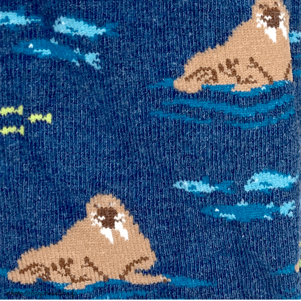 Chaussettes WHITE STUFF homme – Monsieur Morse – Image 3